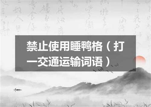 禁止使用睡鸭格（打一交通运输词语）