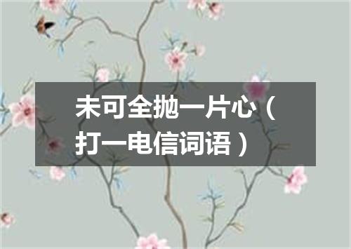 未可全抛一片心（打一电信词语）
