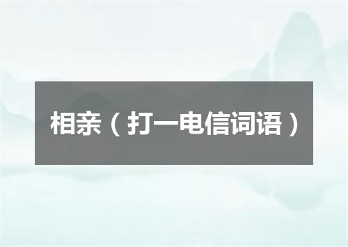 相亲（打一电信词语）