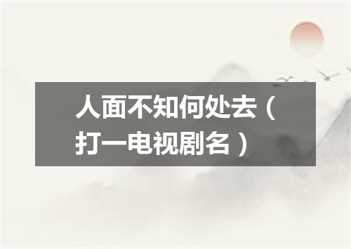 人面不知何处去（打一电视剧名）
