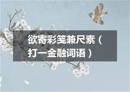欲寄彩笺兼尺素（打一金融词语）