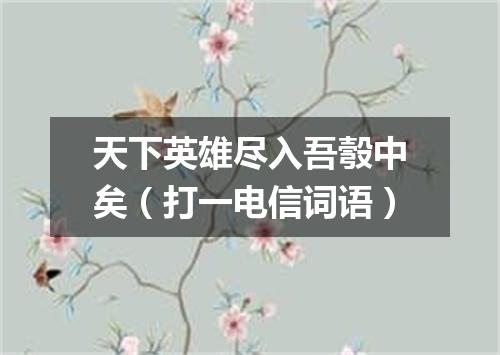 天下英雄尽入吾彀中矣（打一电信词语）