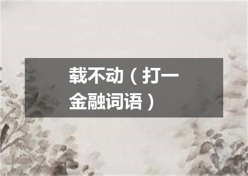 载不动（打一金融词语）