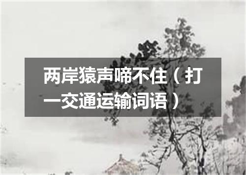 两岸猿声啼不住（打一交通运输词语）