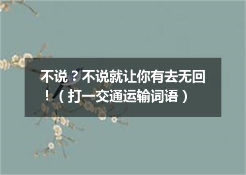 不说？不说就让你有去无回！（打一交通运输词语）