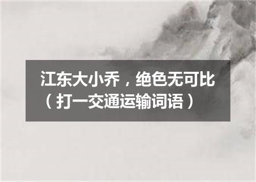 江东大小乔，绝色无可比（打一交通运输词语）