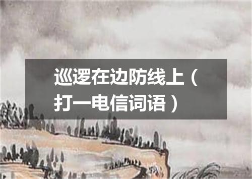 巡逻在边防线上（打一电信词语）
