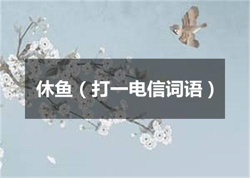 休鱼（打一电信词语）