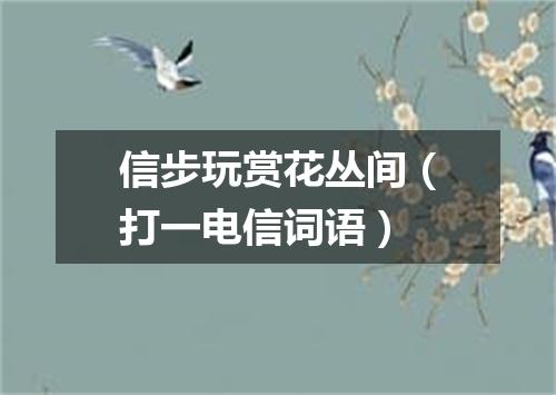 信步玩赏花丛间（打一电信词语）