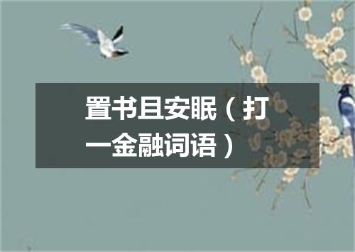 置书且安眠（打一金融词语）