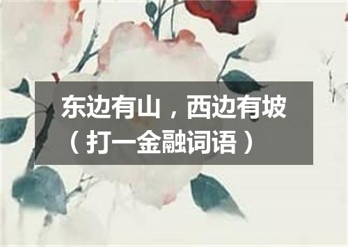 东边有山，西边有坡（打一金融词语）