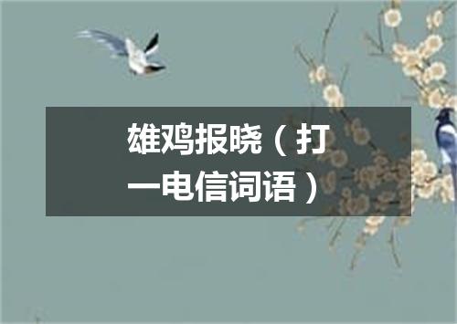雄鸡报晓（打一电信词语）