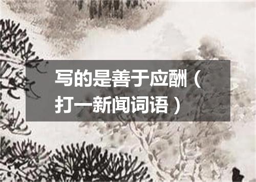 写的是善于应酬（打一新闻词语）