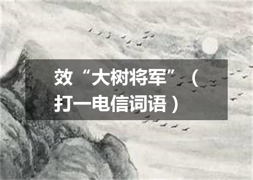 效“大树将军”（打一电信词语）