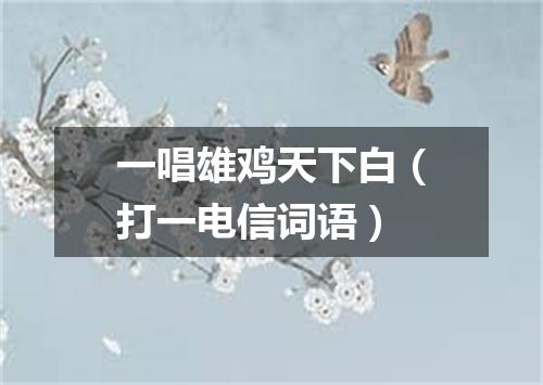 一唱雄鸡天下白（打一电信词语）