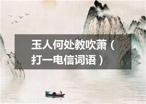 玉人何处教吹萧（打一电信词语）