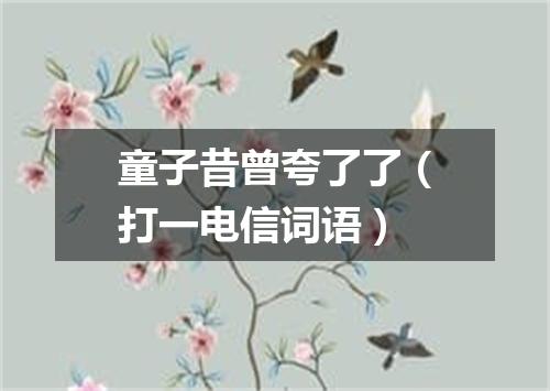 童子昔曾夸了了（打一电信词语）