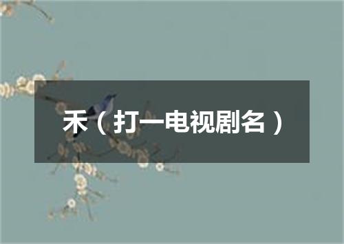 禾（打一电视剧名）