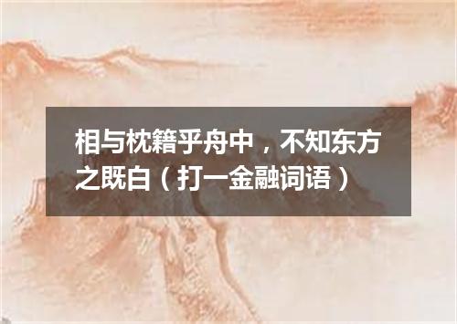 相与枕籍乎舟中，不知东方之既白（打一金融词语）