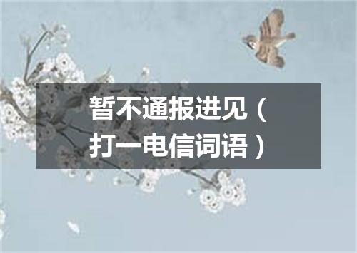暂不通报进见（打一电信词语）