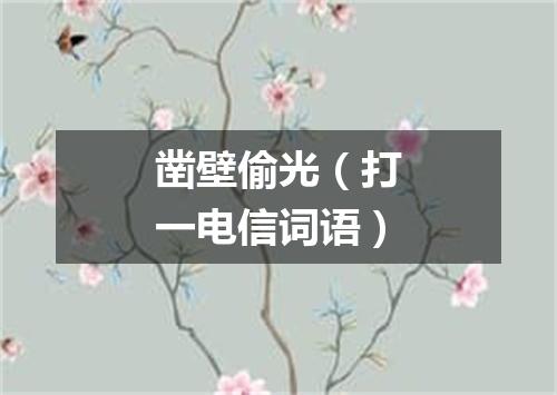 凿壁偷光（打一电信词语）