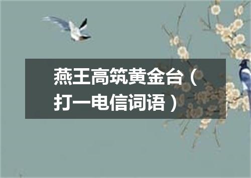 燕王高筑黄金台（打一电信词语）