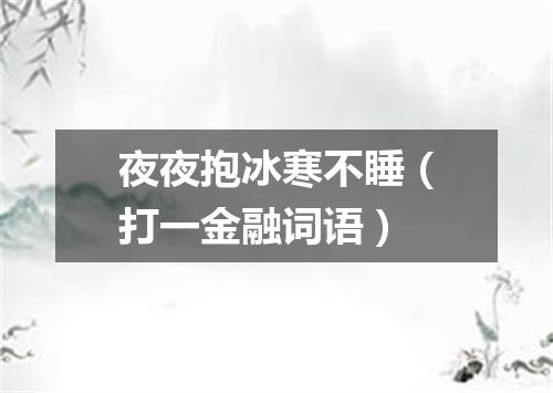 夜夜抱冰寒不睡（打一金融词语）