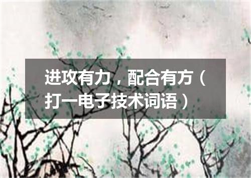 进攻有力，配合有方（打一电子技术词语）