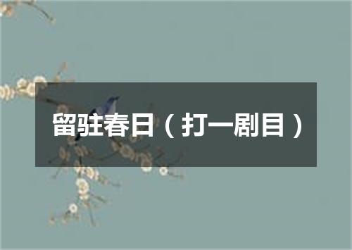 留驻春日（打一剧目）