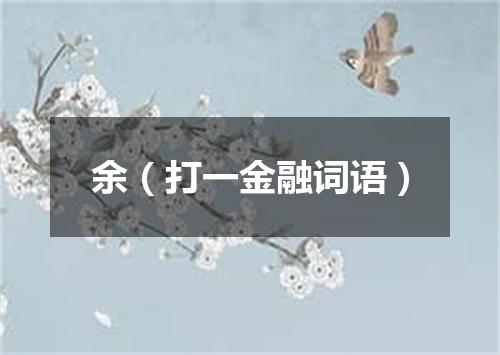 余（打一金融词语）