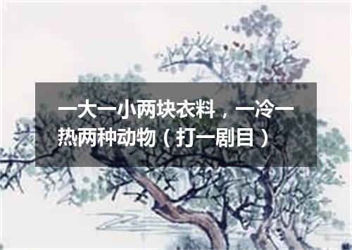 一大一小两块衣料，一冷一热两种动物（打一剧目）