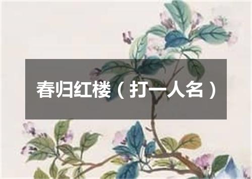春归红楼（打一人名）