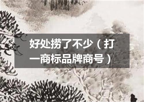好处捞了不少（打一商标品牌商号）