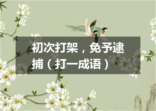 初次打架，免予逮捕（打一成语）
