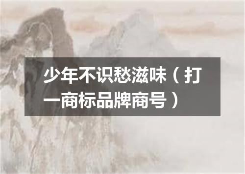 少年不识愁滋味（打一商标品牌商号）