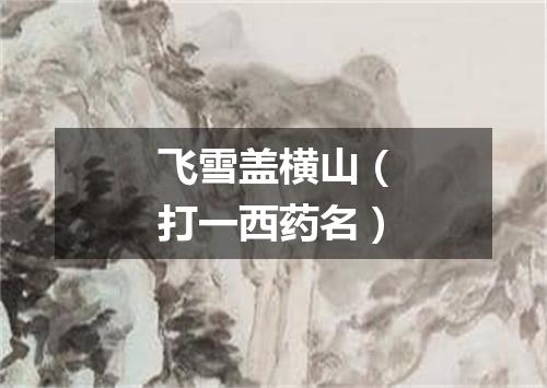 飞雪盖横山（打一西药名）