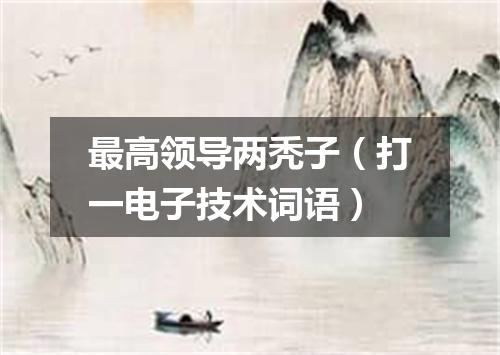最高领导两秃子（打一电子技术词语）