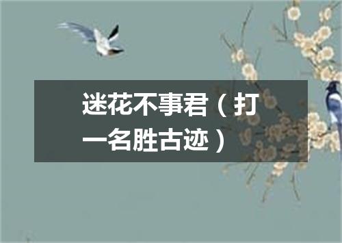 迷花不事君（打一名胜古迹）