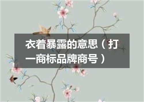 衣着暴露的意思（打一商标品牌商号）