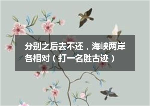 分别之后去不还，海峡两岸各相对（打一名胜古迹）
