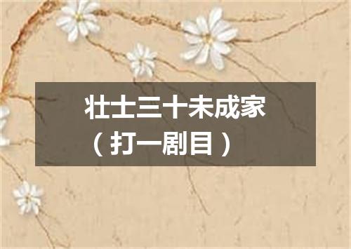壮士三十未成家（打一剧目）
