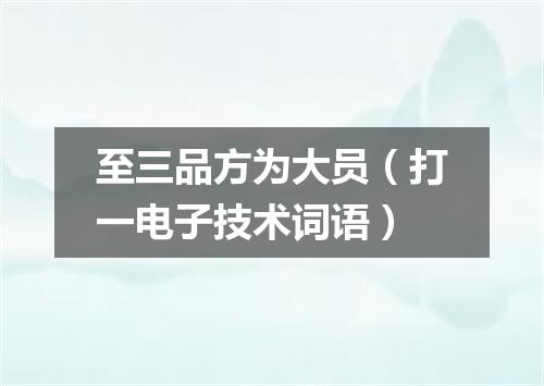 至三品方为大员（打一电子技术词语）