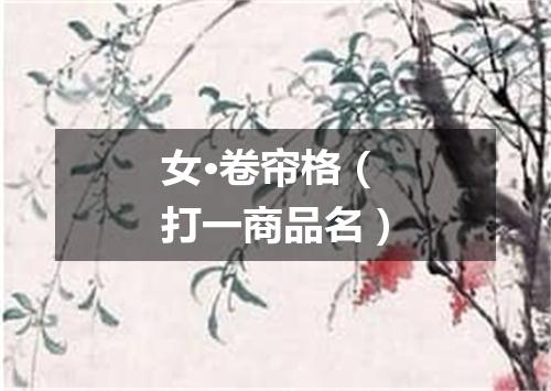 女·卷帘格（打一商品名）