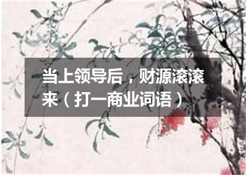当上领导后，财源滚滚来（打一商业词语）