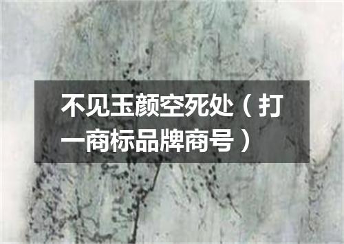 不见玉颜空死处（打一商标品牌商号）
