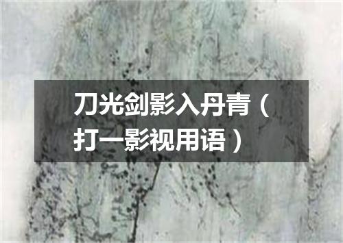 刀光剑影入丹青（打一影视用语）