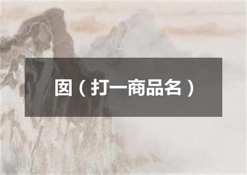 囡（打一商品名）
