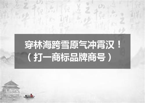 穿林海跨雪原气冲霄汉！（打一商标品牌商号）