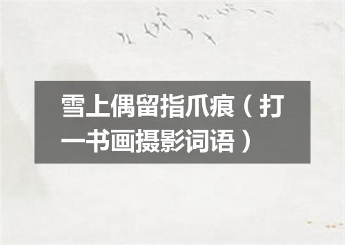 雪上偶留指爪痕（打一书画摄影词语）