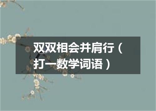 双双相会并肩行（打一数学词语）